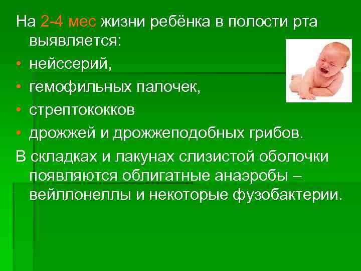 На 2 -4 мес жизни ребёнка в полости рта  выявляется:  • нейссерий,