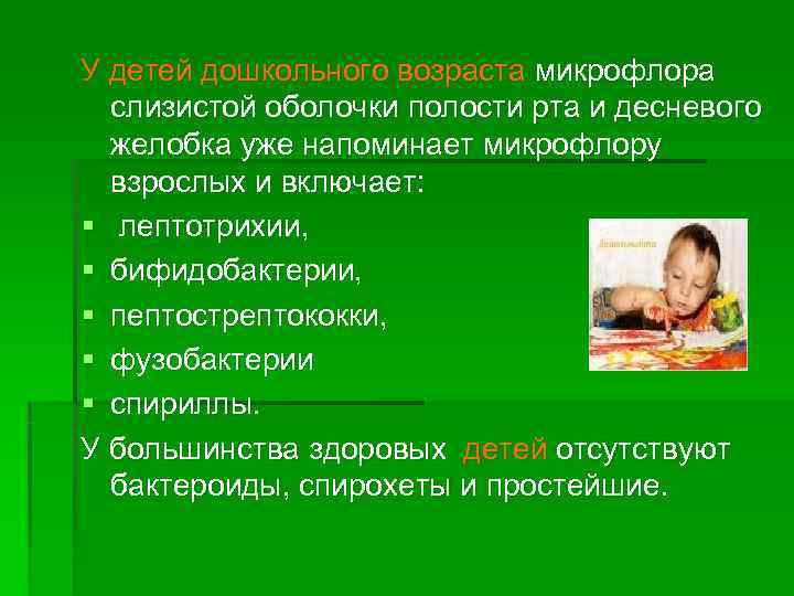 У детей дошкольного возраста микрофлора  слизистой оболочки полости рта и десневого  желобка