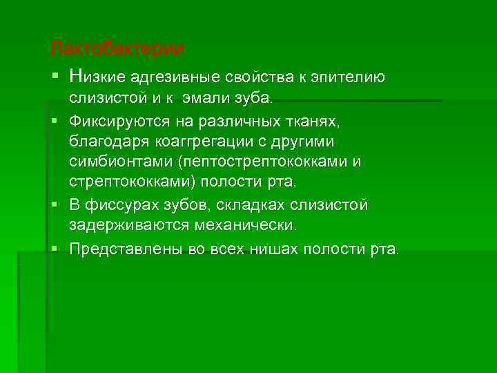 Лактобактерии § Низкие адгезивные свойства к эпителию слизистой и к эмали зуба. § 