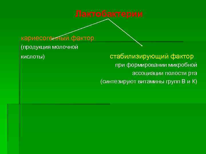    Лактобактерии кариесогенный фактор (продукция молочной кислоты)   стабилизирующий фактор 