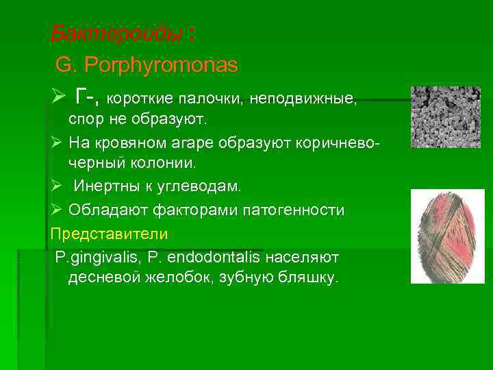 Бактероиды : G. Porphyromonas Ø Г-, короткие палочки, неподвижные,  спор не образуют. Ø