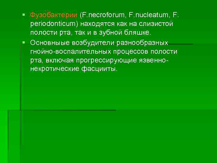 § Фузобактерии (F. necroforum, F. nucleatum, F.  рeriodonticum) находятся как на слизистой 