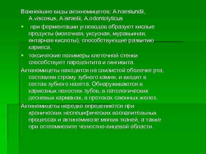 Важнейшие виды актиномицетов: A. naeslundii, A. viscosus, A. israelii, A. odontolyticus § при ферментации