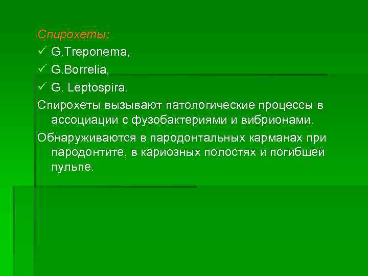 Спирохеты: ü G. Treponema, ü G. Borrelia, ü G. Leptospira. Спирохеты вызывают патологические процессы