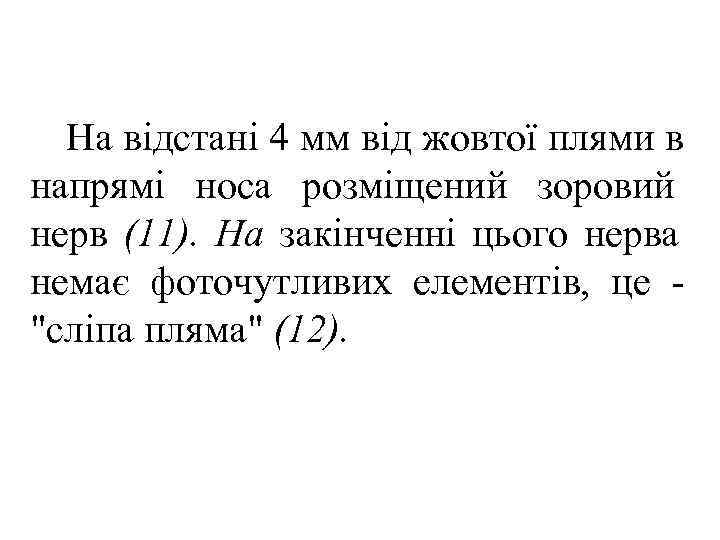  На відстані 4 мм від жовтої плями в напрямі носа розміщений зоровий нерв