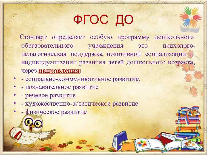     ФГОС ДО Стандарт определяет особую программу дошкольного образовательного учреждения это