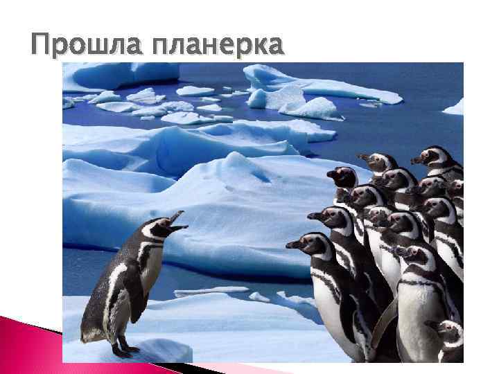 Прошла планерка 