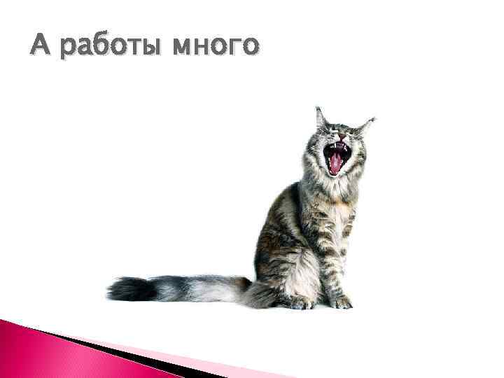 А работы много 