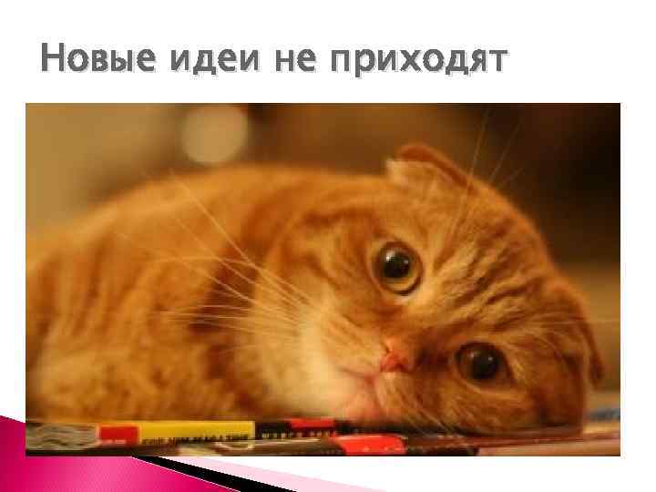 Новые идеи не приходят 