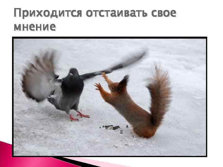 Приходится отстаивать свое мнение 