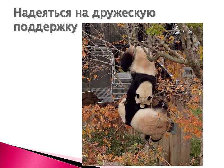 Надеяться на дружескую поддержку 