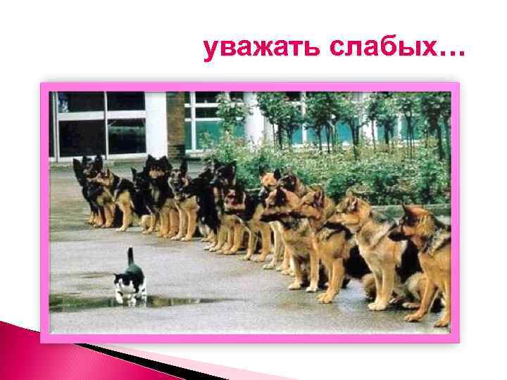 уважать слабых… 