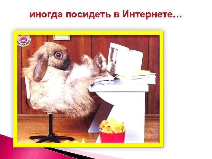 иногда посидеть в Интернете… 