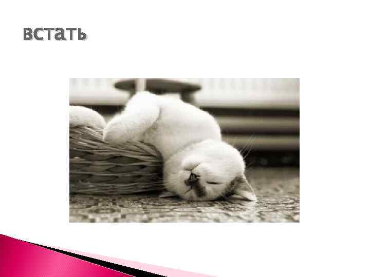 встать 