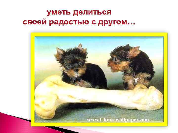 уметь делиться своей радостью с другом… 