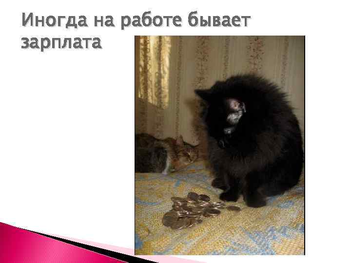 Иногда на работе бывает зарплата 