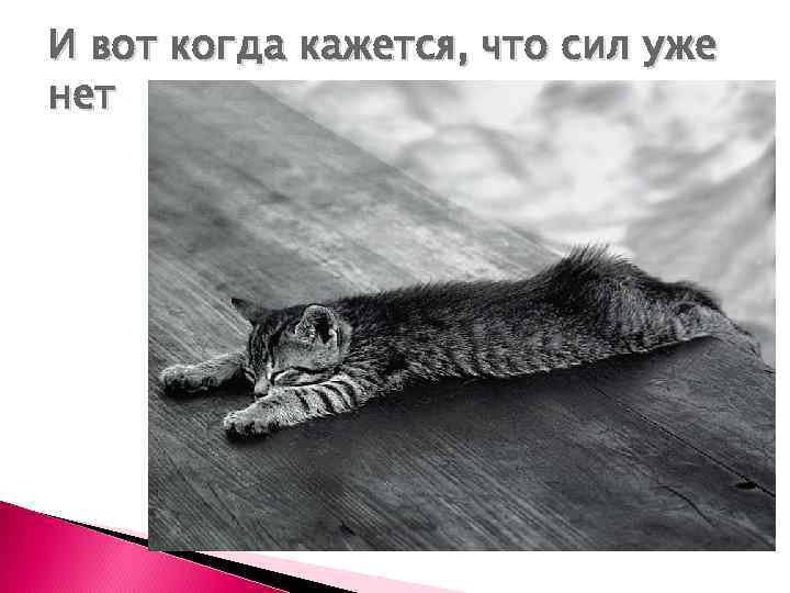 И вот когда кажется, что сил уже нет 