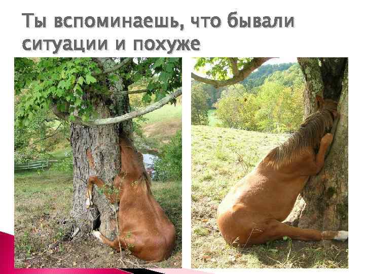 Ты вспоминаешь, что бывали ситуации и похуже 