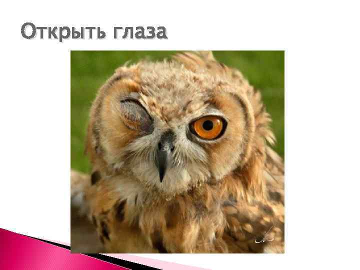 Открыть глаза 