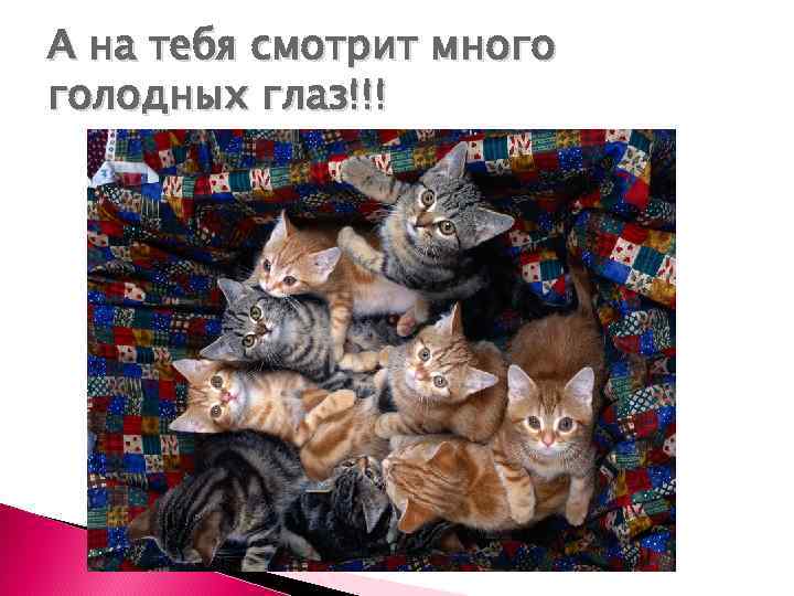 А на тебя смотрит много голодных глаз!!! 