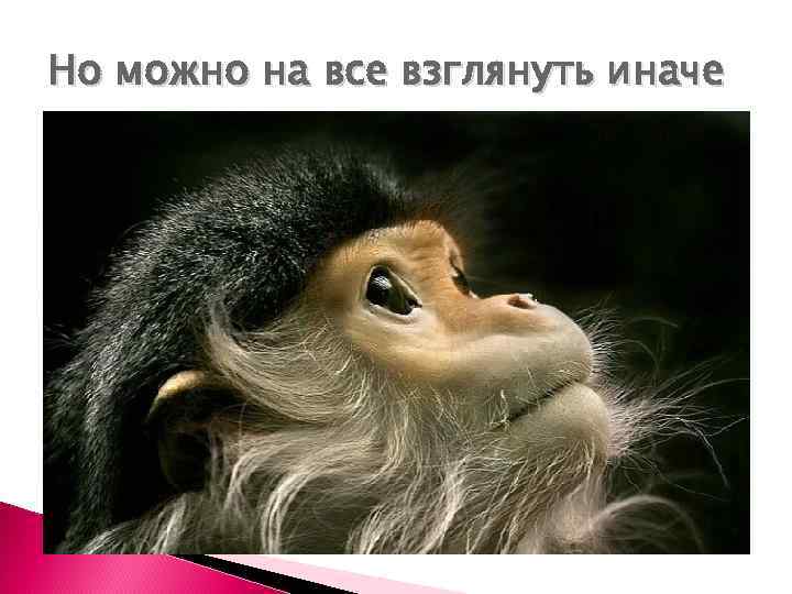 Но можно на все взглянуть иначе 