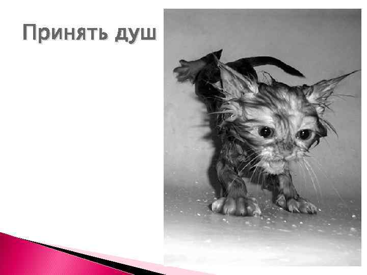 Принять душ 