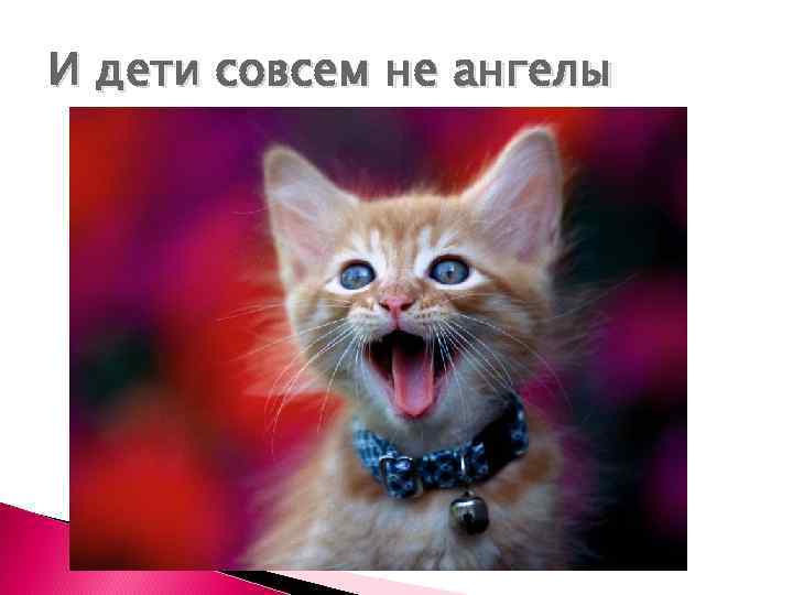 И дети совсем не ангелы 