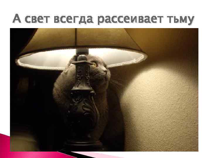 А свет всегда рассеивает тьму 