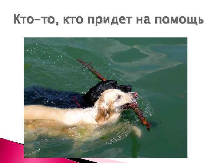 Кто-то, кто придет на помощь 