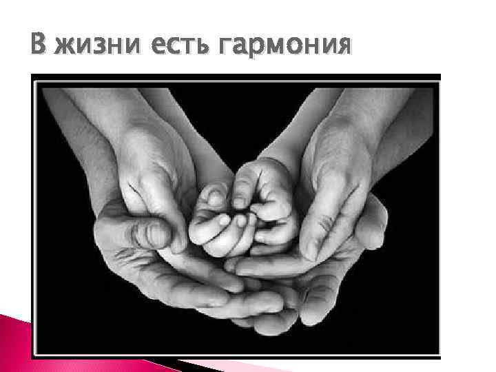 В жизни есть гармония 