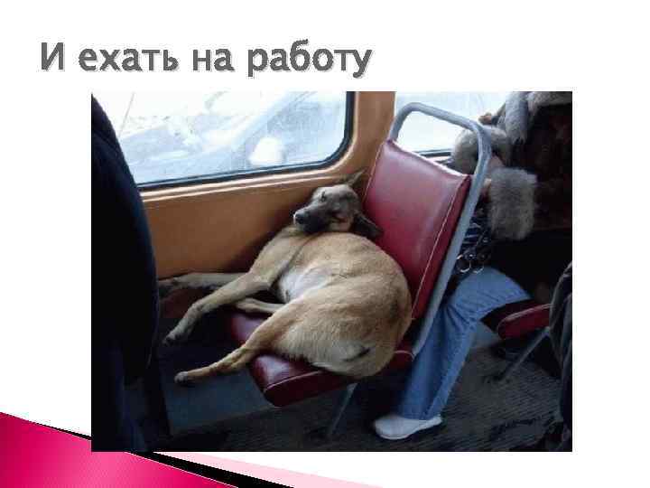 И ехать на работу 
