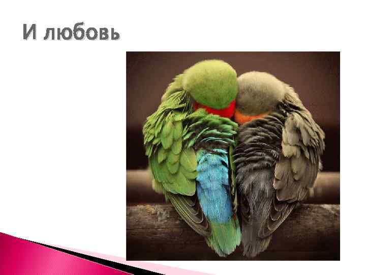 И любовь 