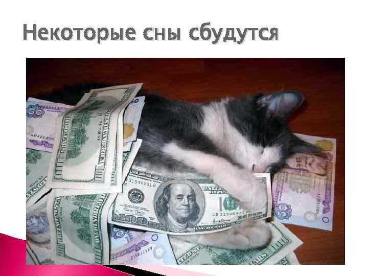 Некоторые сны сбудутся 