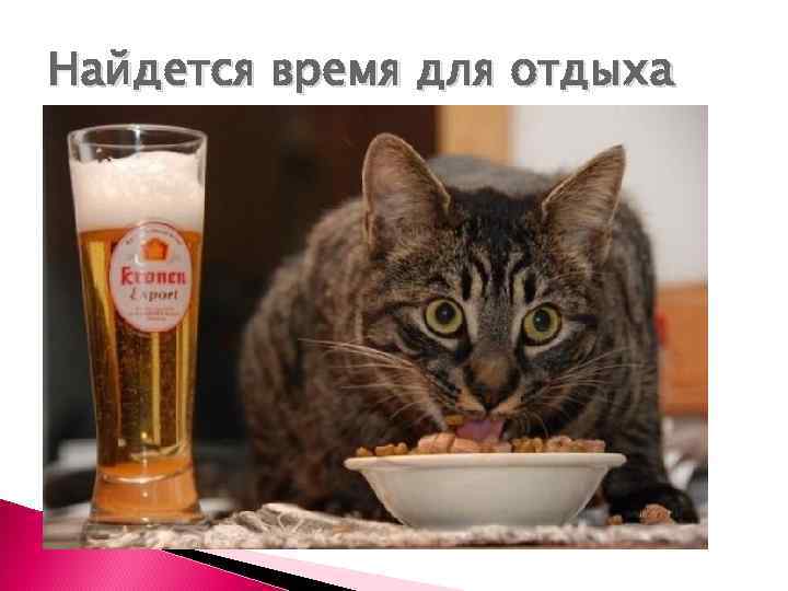 Найдется время для отдыха 