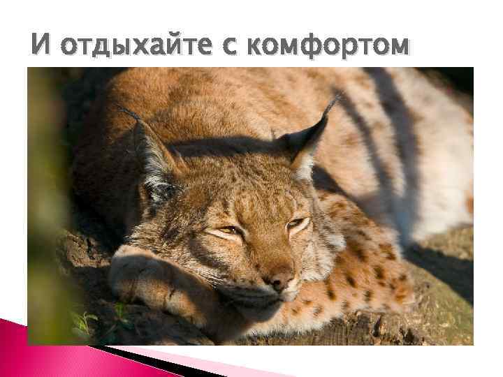 И отдыхайте с комфортом 