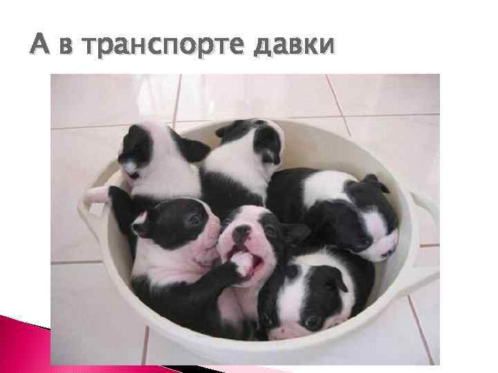 А в транспорте давки 