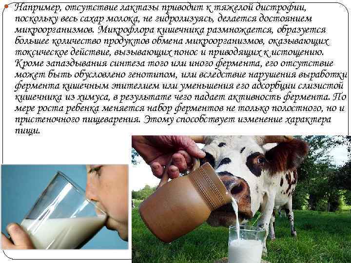 Например, отсутствие лактазы приводит к тяжелой дистрофии,  поскольку весь сахар молока, не
