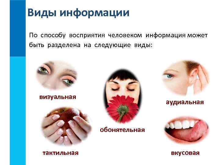 Виды информации По способу восприятия человеком информация может быть разделена на следующие виды: 