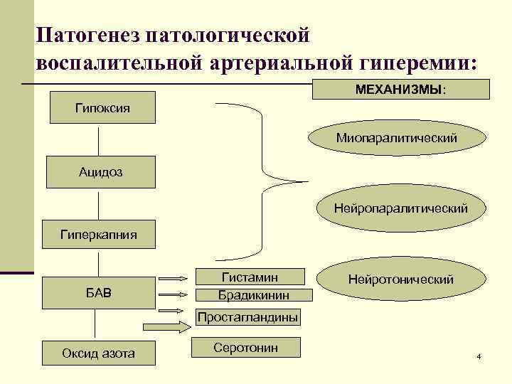 Патогенез патологической воспалительной артериальной гиперемии: n МЕХАНИЗМЫ: Гипоксия Миопаралитический Ацидоз Нейропаралитический Гиперкапния БАВ Гистамин