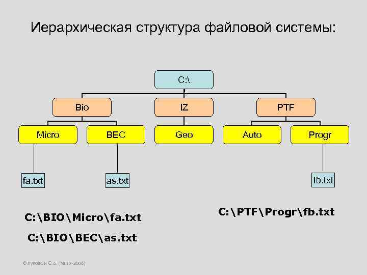 Иерархическая структура файловой системы: С:  Bio Micro fa. txt IZ BEC as. txt