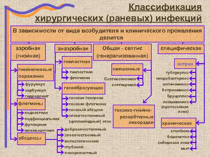 Классификация хирургических (раневых) инфекций В зависимости от вида возбудителя и клинического проявления делится аэробная