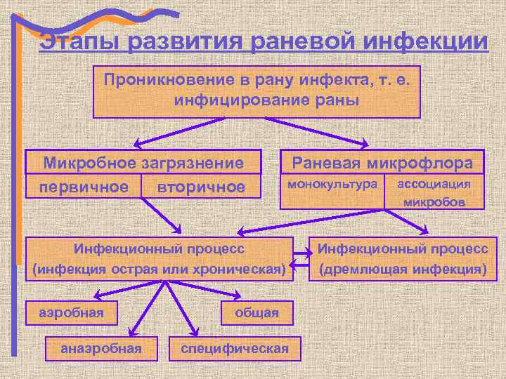 Этапы развития раневой инфекции Проникновение в рану инфекта, т. е. инфицирование раны Микробное загрязнение