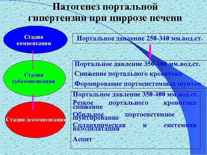 Патогенез портальной гипертензии при циррозе печени Стадия компенсации Стадия субкомпенсации Стадия декомпенсации Портальное давление