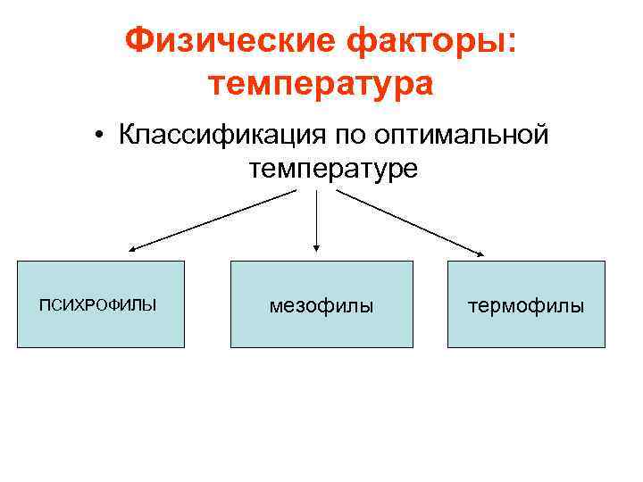 Факторы температуры. Мезофилы термофилы. Психрофилы мезофилы и термофилы микробиология. Классификация бактерий по температуре. Бактерии термофилы психрофилы мезофилы.