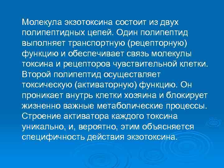Молекула экзотоксина состоит из двух полипептидных цепей. Один полипептид выполняет транспортную (рецепторную) функцию и