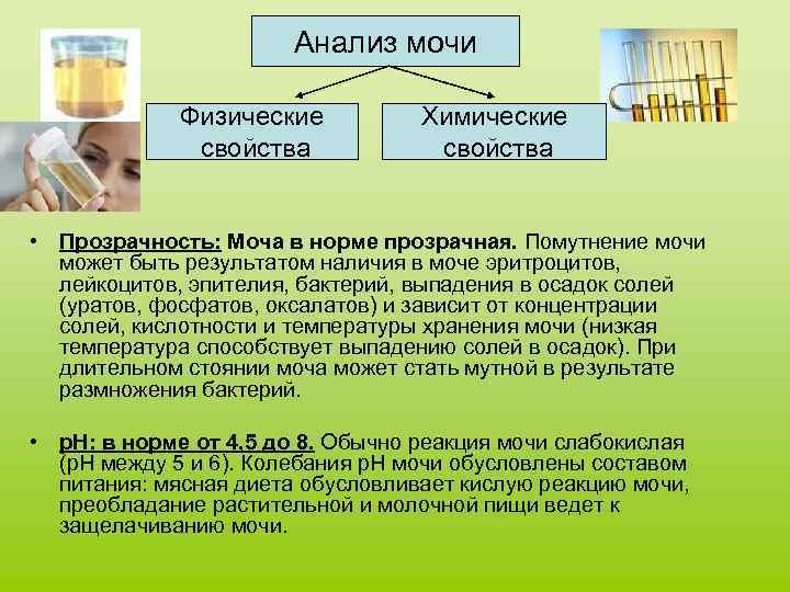     Анализ мочи    Физические  Химические  