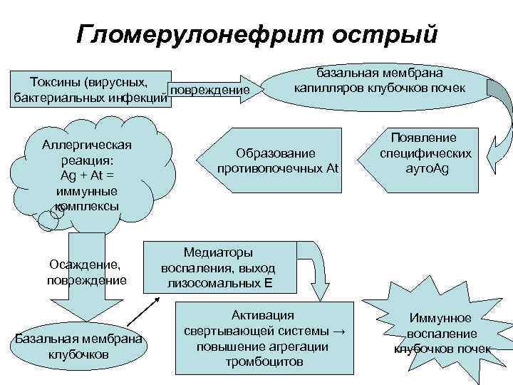   Гломерулонефрит острый     базальная мембрана  Токсины (вирусных, 