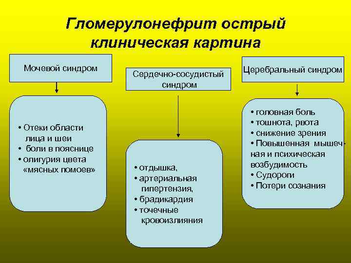   Гломерулонефрит острый   клиническая картина Мочевой синдром   