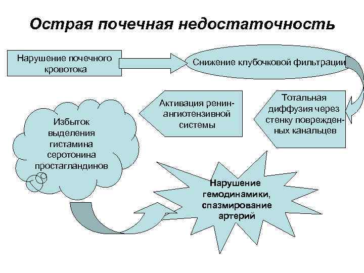  Острая почечная недостаточность Нарушение почечного   Снижение клубочковой фильтрации кровотока  