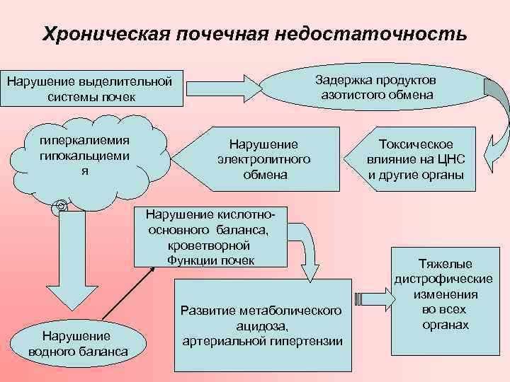   Хроническая почечная недостаточность Нарушение выделительной     Задержка продуктов системы
